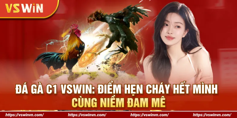 Đá gà C1 VSWIN: Điểm Hẹn Cháy Hết Mình Cùng Niềm Đam Mê