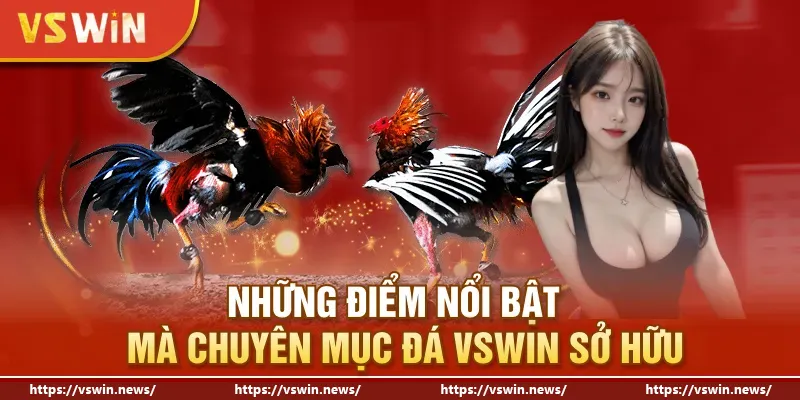 Những điểm nổi bật mà chuyên mục đá VSWIN sở hữu